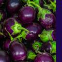 My favourite eggplant recipes and dishes