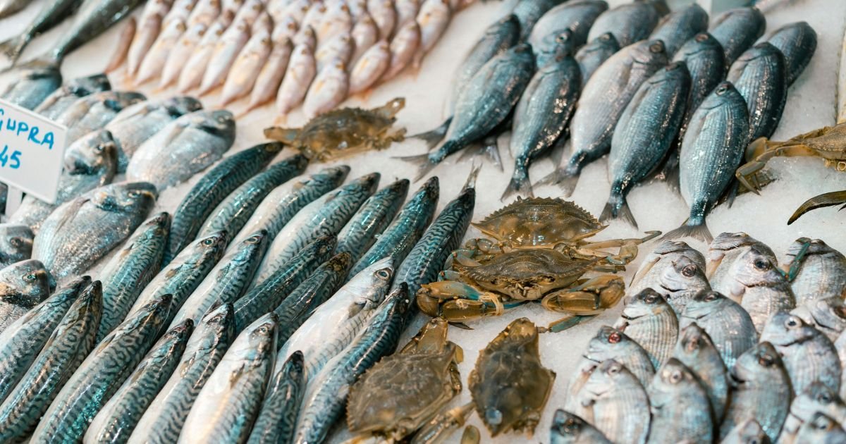 Seafood and fish benefits