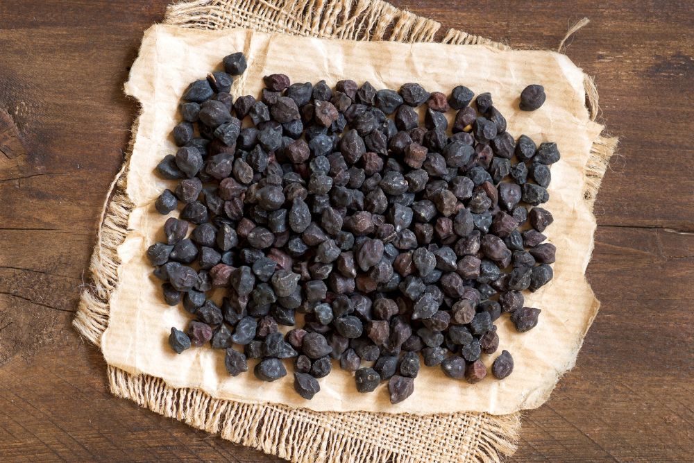 black chickpea