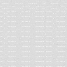 Phasellus ornare varius magna, in consequat augue accumsan nec.