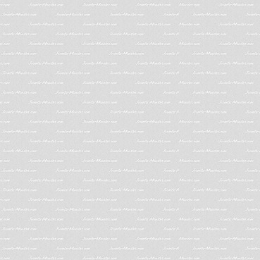 Phasellus ornare varius magna, in consequat augue accumsan nec.