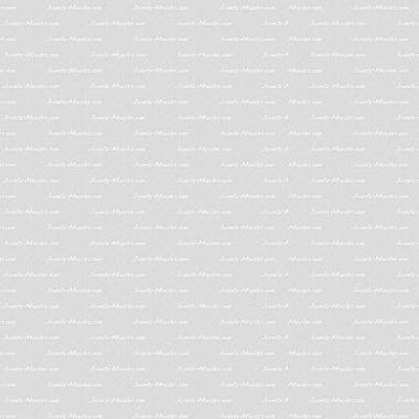 Phasellus ornare varius magna, in consequat augue accumsan nec.