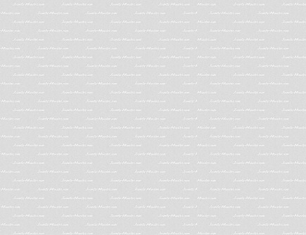 Phasellus ornare varius magna, in consequat augue accumsan nec.