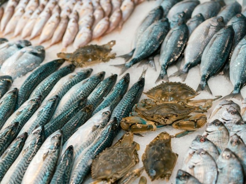 Seafoof and Fish Benefits