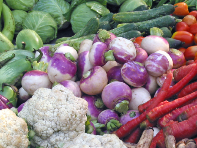 Pakistani vegetable dishes