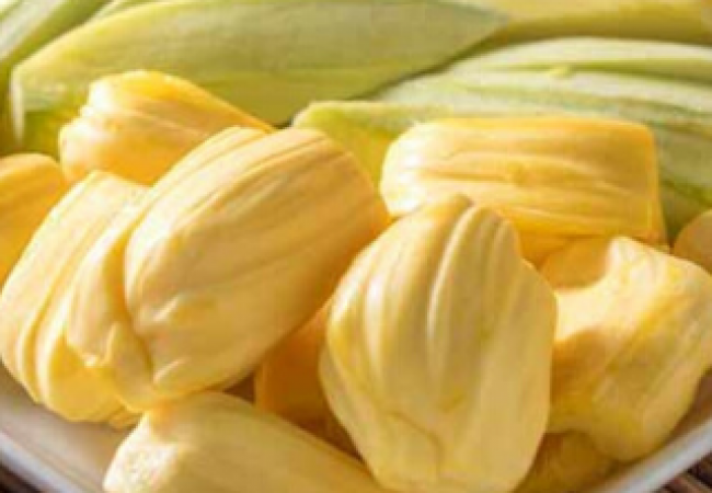 Jackfruit - Tropical Fruit